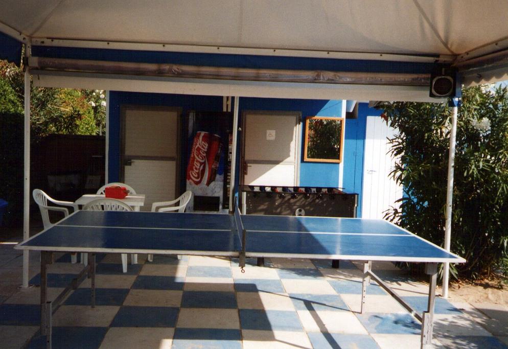 il ping pong