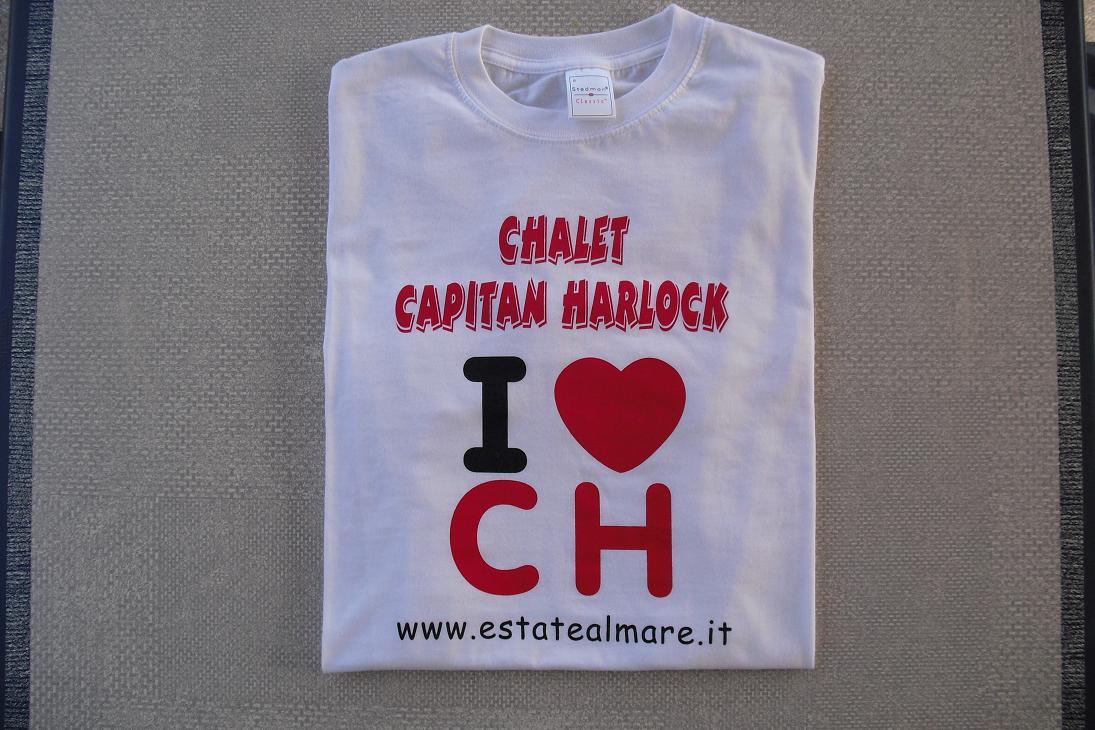 T-shirt 2010