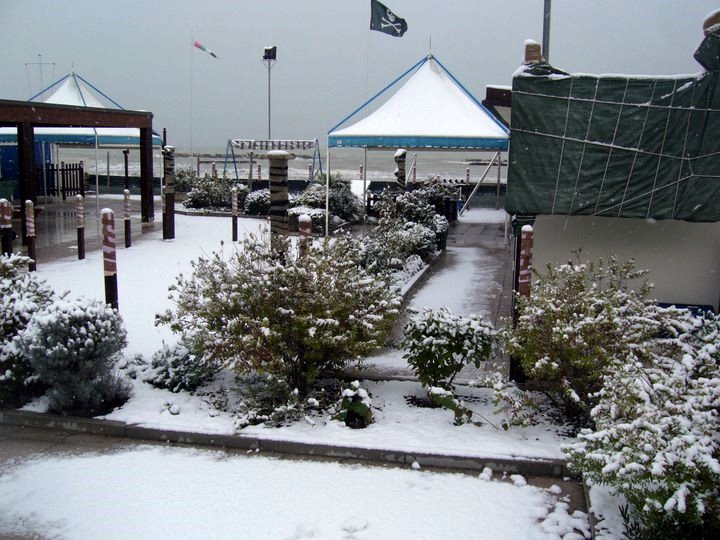 2010